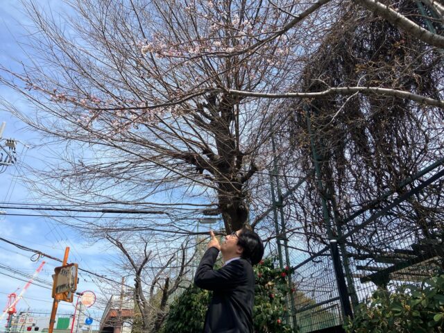 春の訪れ！社屋の近くで桜が咲き始めました🌸✨

こんにちは！AtomsWorldの佐野です。

本日、私たちの社屋のすぐ近くで桜が咲いているのを見つけました！ まだ咲き始めですが、春の柔らかな日差しに包まれて、見ているだけで心が温まる景色です。📸✨

満開になる日が今からとても楽しみですね！
新しい季節も、皆様と一緒に歩んでいけることを嬉しく思います。これからも、どうぞよろしくお願いいたします！

企業情報はプロフィールURLより 👉 atomsworld.co.jp 弊社ZEB社屋の見学をご希望の方は是非コメント欄へご連絡ください！💬

#AtomsWorld #ZEB #尼崎 #桜 #春の訪れ