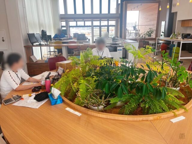 🌿ZEB社屋で驚いたこと～グリーンオフィス編🌿

こんにちは！AtomsWorldのもっちーです。

今回は、実際にZEB社屋で働いてみて驚いたことをご紹介します😊

弊社ZEB社屋には、オフィス内のさまざまな場所に植物が取り入れられており、自然を感じられる環境になっています🌱

実は、オフィスに植物を取り入れることで、見た目の印象が良くなるだけでなく、働く環境にも以下のような良い効果があると言われています💡

🟢 見た目の涼しさ・リフレッシュ効果
植物が視界に入ることで空間全体に落ち着きが生まれ、夏場には視覚的な涼しさも感じられます。また、業務の合間にふと植物が目に入ることで、脳や目の疲れが和らぎ、気持ちを切り替えるきっかけになり、リフレッシュしやすい空間づくりにもつながります。

🟢 ストレス軽減・集中しやすい環境づくり
植物の葉から放出される水分や心地よい緑の香りには、自律神経を整えてリラックスさせる効果があり、ストレス軽減にもつながります。穏やかな気持ちで仕事に向き合えるため、日々の業務にもより深く集中して取り組むことができます✨

また、これらの植物は、グループ全社員で協力し合い、水をあげたり葉のお手入れをしたりして、大切に管理しています🌱

省エネ性能が優れているだけでなく、それ以上に従業員がどれだけ心地よく働けるかを考えて作られたオフィスだと、日々実感しています。

今後も、ZEB社屋ならではの魅力や驚いたポイントをたくさん発信していきますので、ぜひ楽しみにしてください！✨

企業情報はプロフィールURLより👉 atomsworld.co.jp
弊社ZEB社屋の見学をご希望の方は、ぜひコメント欄よりお気軽にご連絡ください💬

#AtomsWorld #ZEB #植物 #リフレッシュ #オフィス